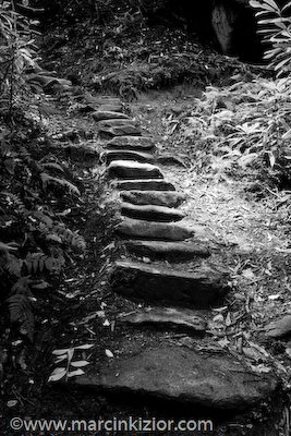 Stairs - Smoky Mountains